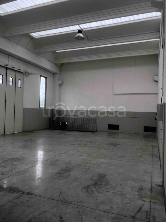 immagine annuncio 2 di 12