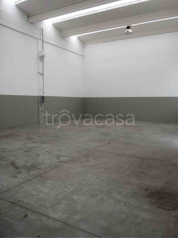 immagine annuncio 4 di 12