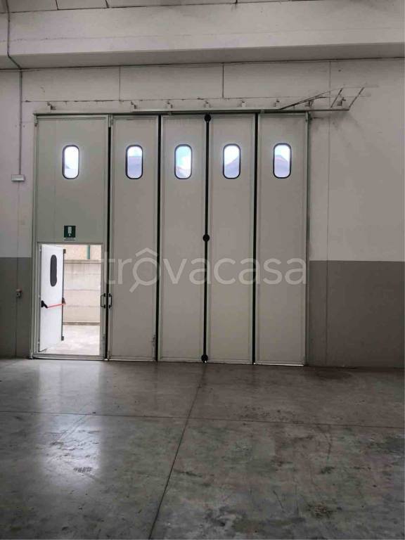 immagine annuncio 5 di 12