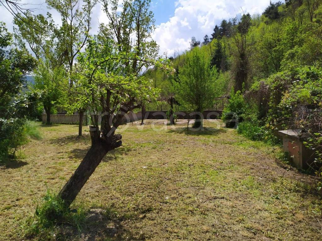 immagine annuncio 8 di 11