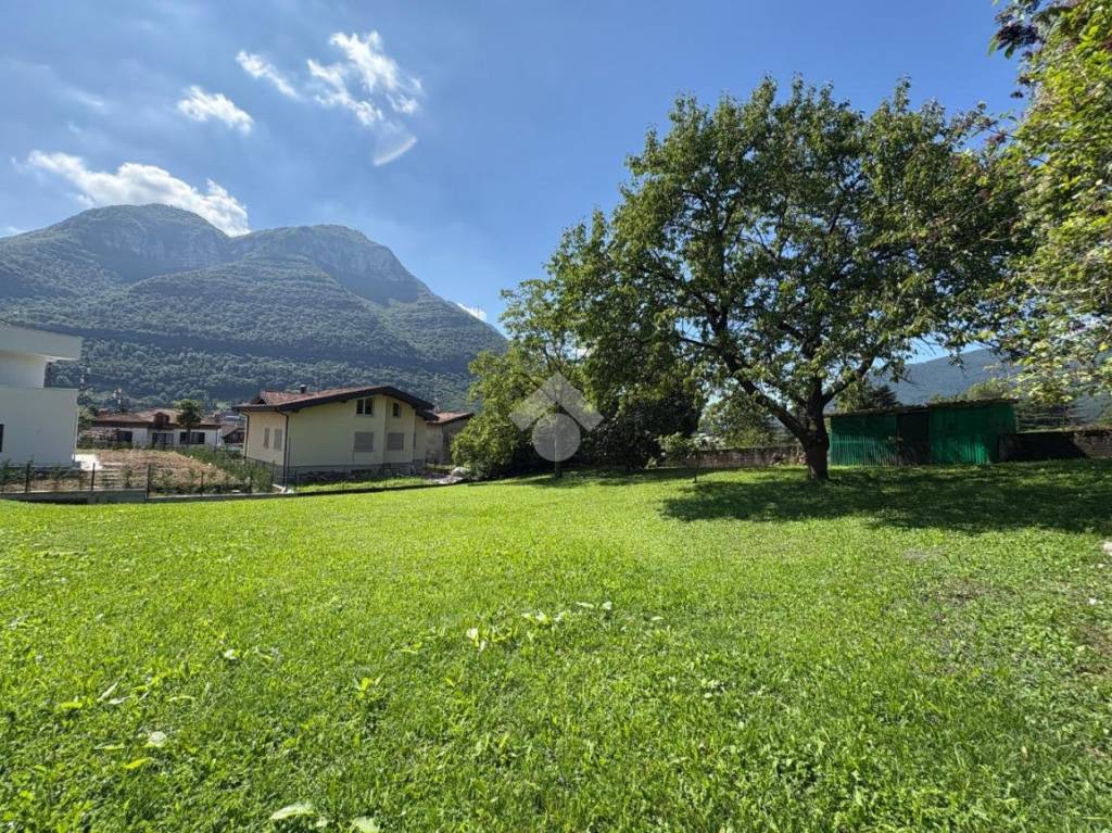 immagine annuncio 8 di 12