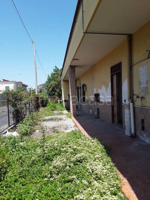 immagine annuncio 2 di 11
