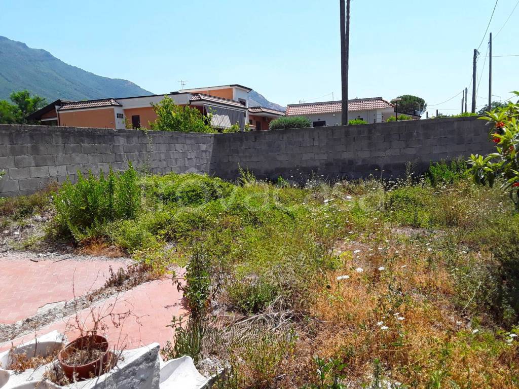 immagine annuncio 6 di 11
