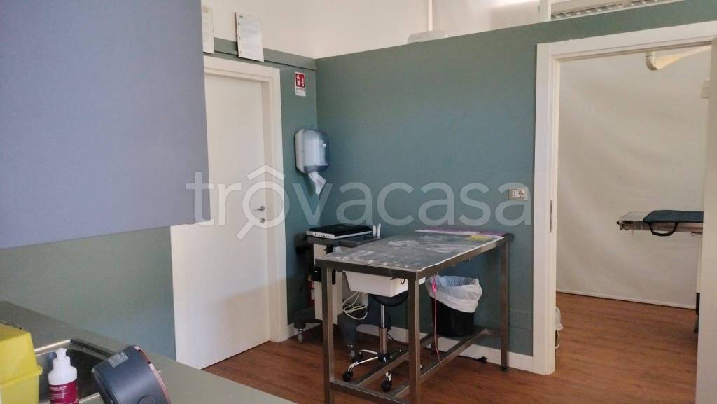 immagine annuncio 5 di 14