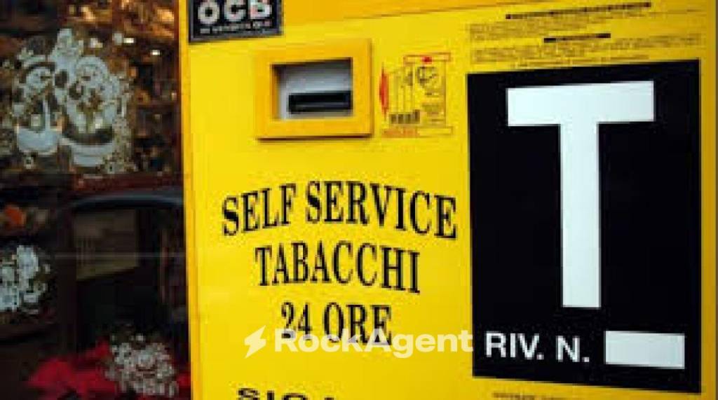 immagine annuncio 7 di 15