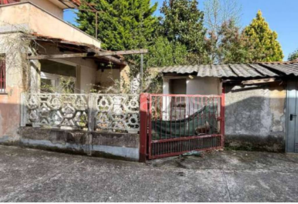 immagine annuncio 5 di 12