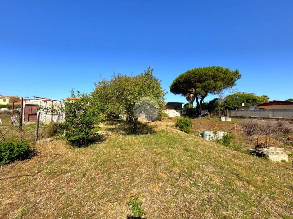 immagine annuncio 5 di 11