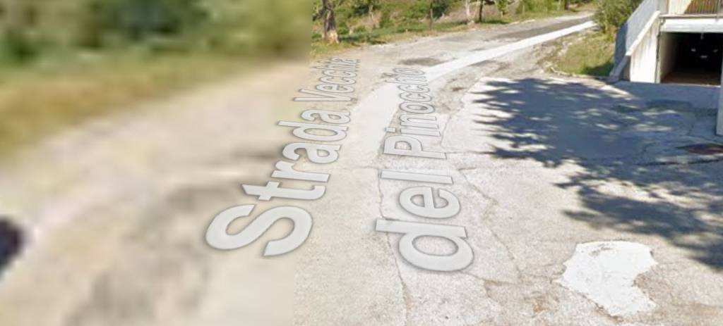 immagine annuncio 3 di 11