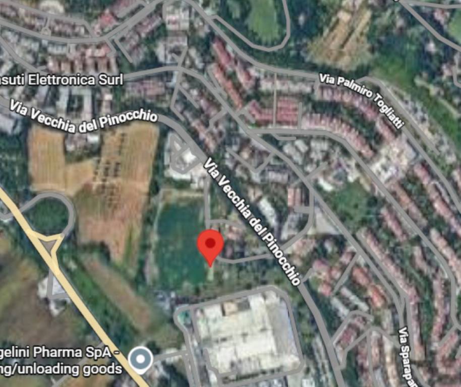 immagine annuncio 8 di 11