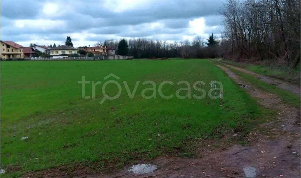 immagine annuncio 1 di 12