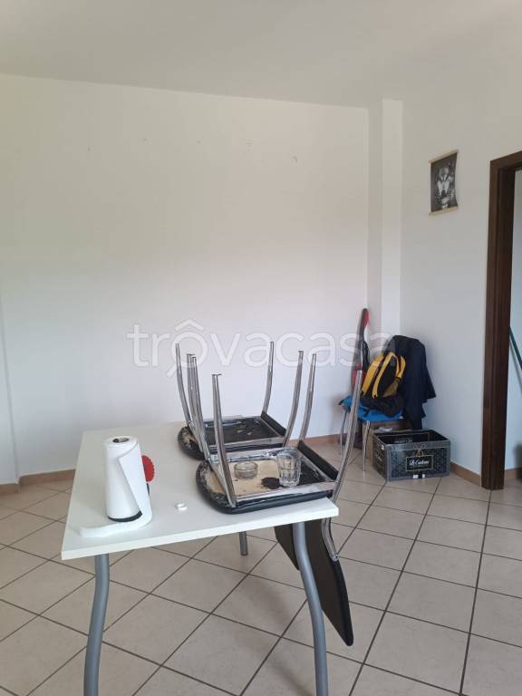 immagine annuncio 9 di 14