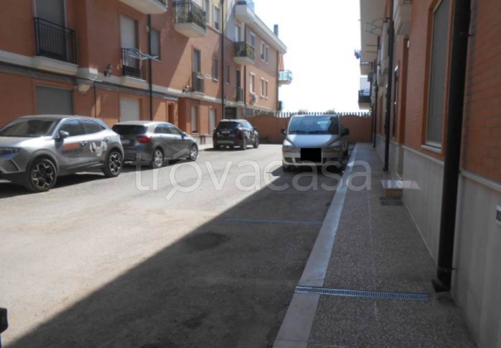 immagine annuncio 9 di 14