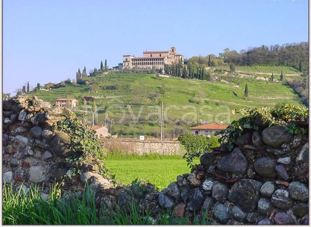 immagine annuncio 6 di 9