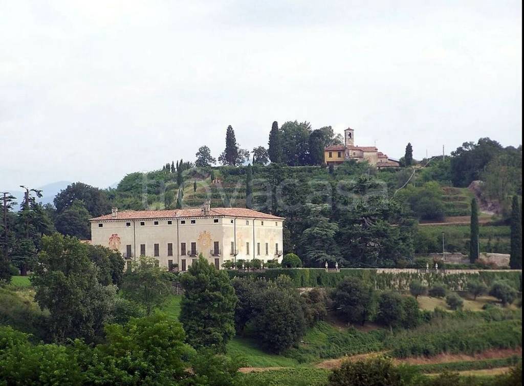 immagine annuncio 2 di 7