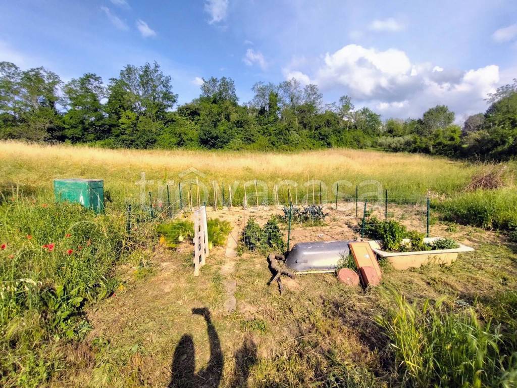 immagine annuncio 3 di 14