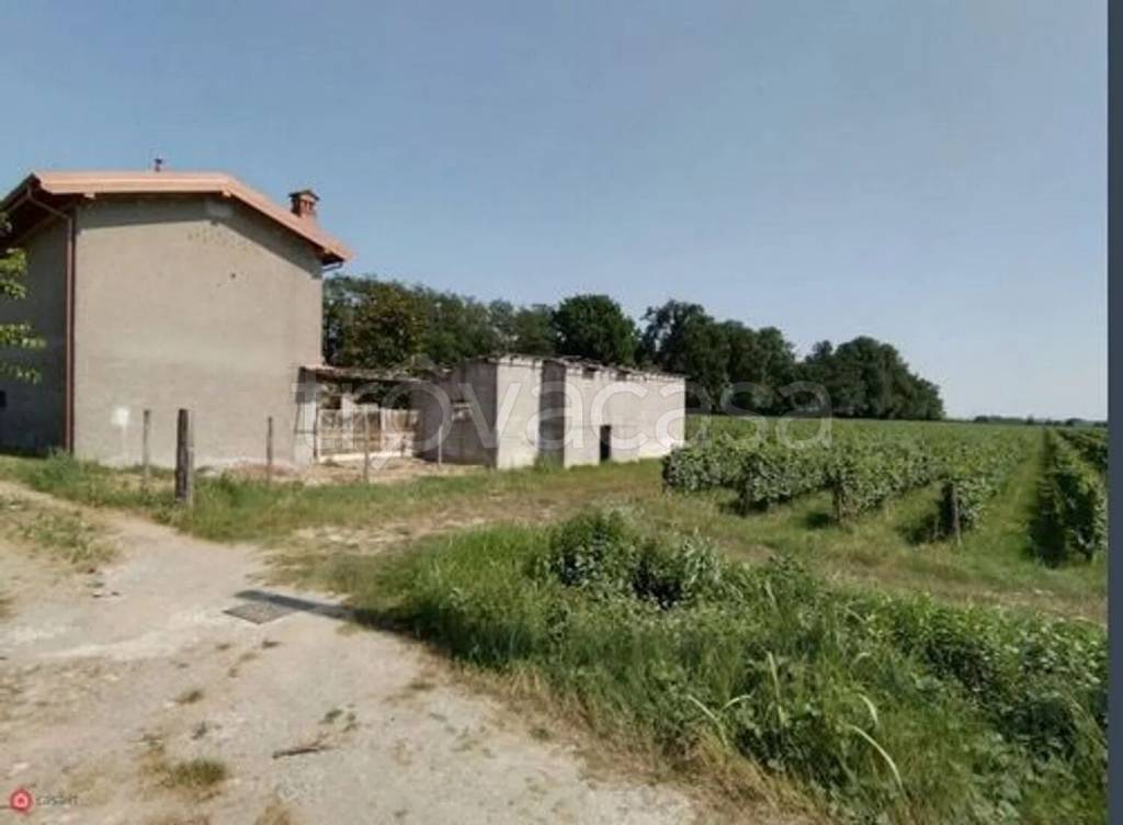 immagine annuncio 6 di 11