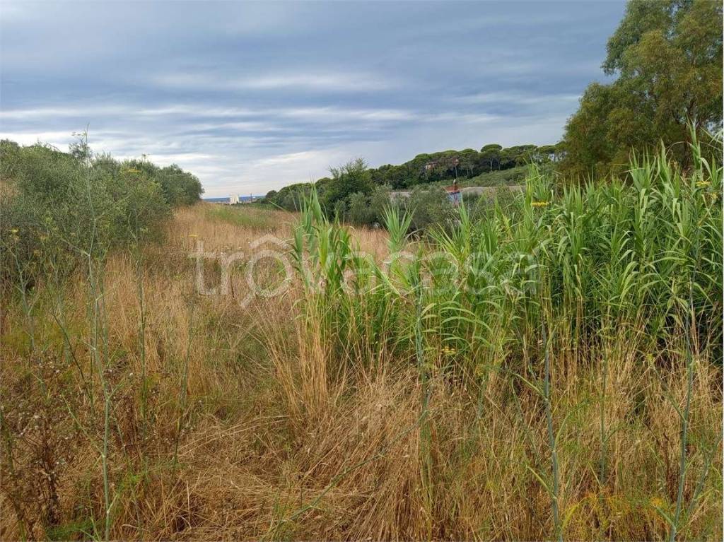 immagine annuncio 1 di 8