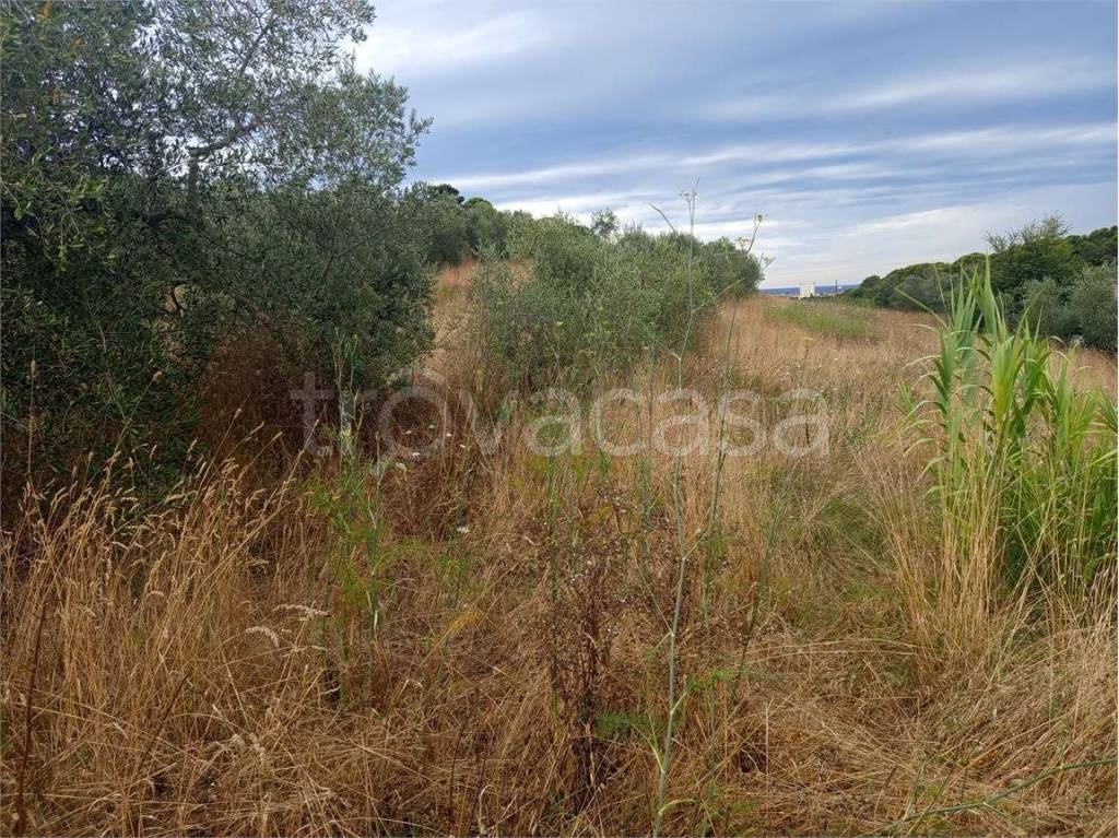 immagine annuncio 2 di 8