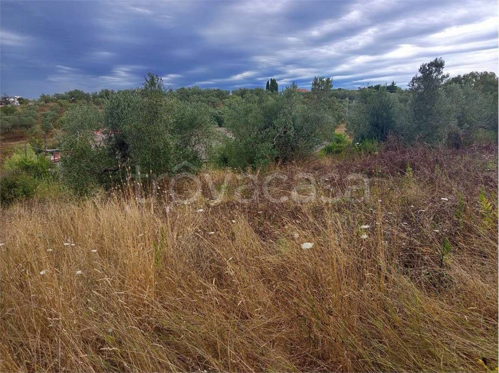 immagine annuncio 4 di 8