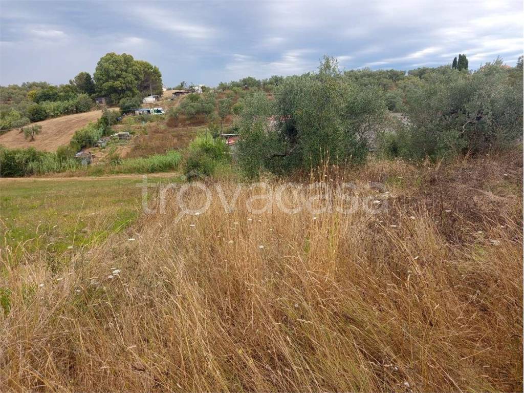 immagine annuncio 5 di 8