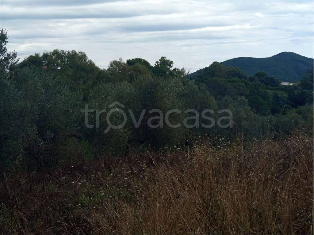 immagine annuncio 6 di 8