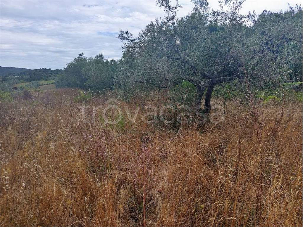 immagine annuncio 7 di 8