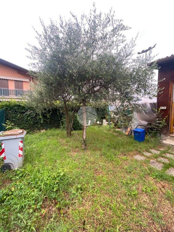 immagine annuncio 3 di 11