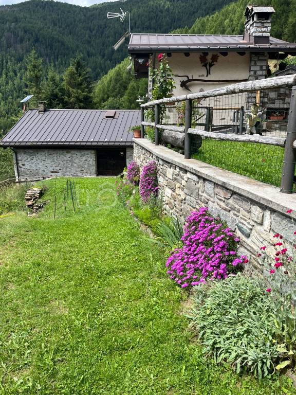 immagine annuncio 12 di 15