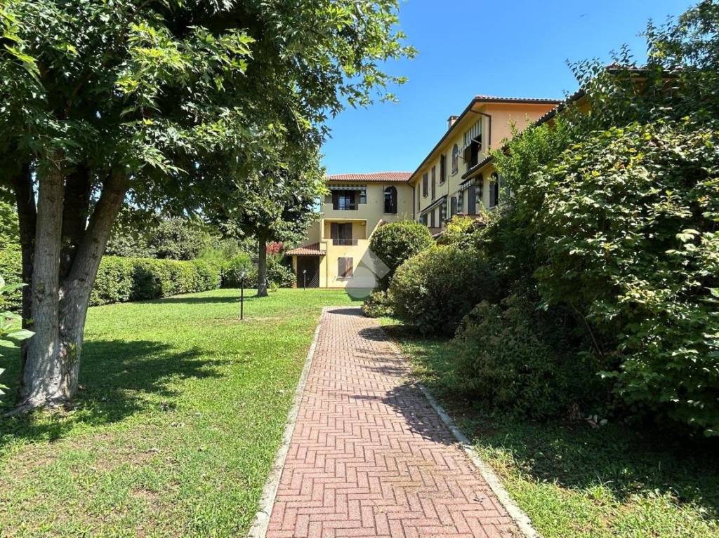 immagine annuncio 4 di 8