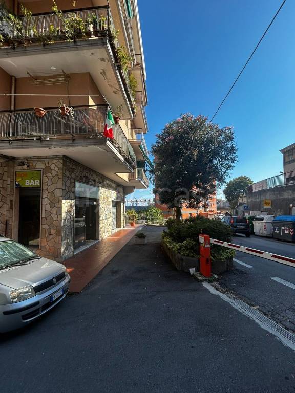 immagine annuncio 9 di 13