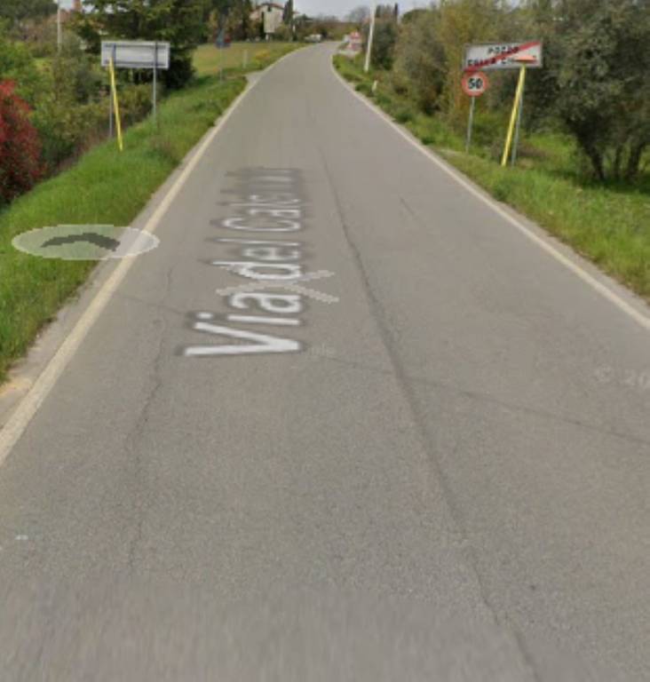 immagine annuncio 5 di 11