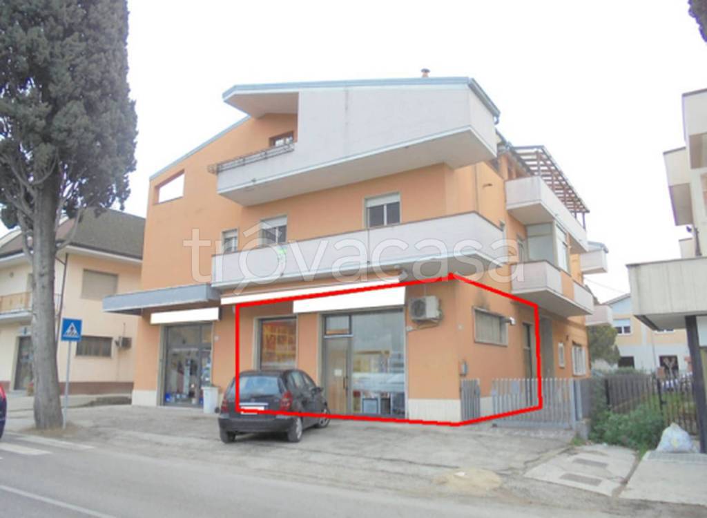 immagine annuncio 2 di 11