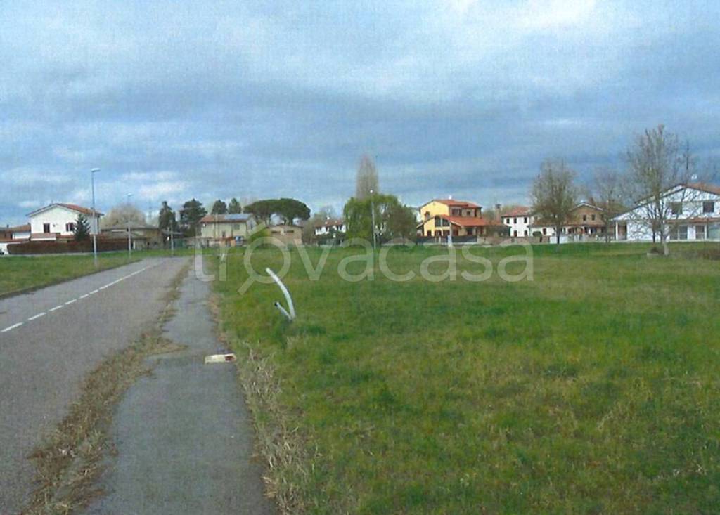 immagine annuncio 3 di 11