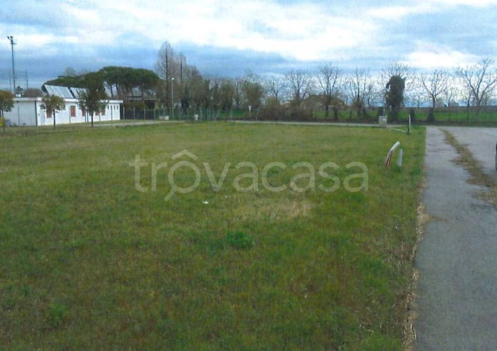 immagine annuncio 7 di 11