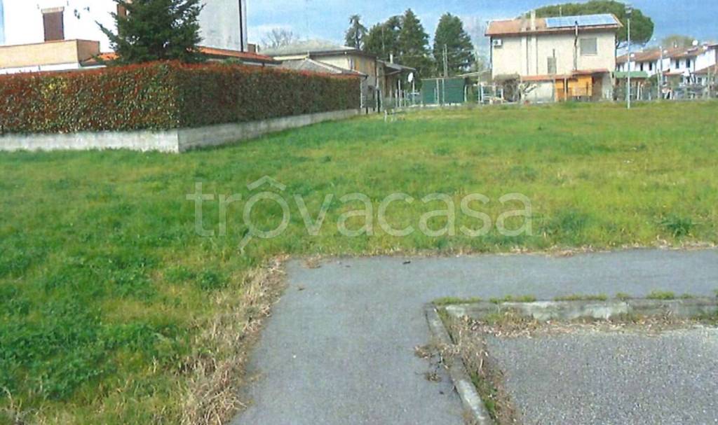 immagine annuncio 9 di 11