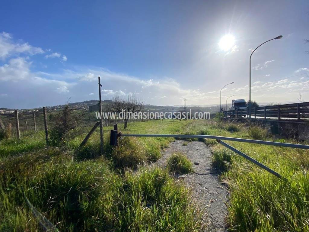 immagine annuncio 4 di 7