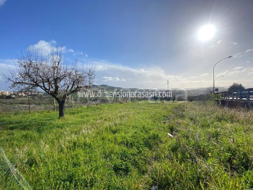 immagine annuncio 5 di 7