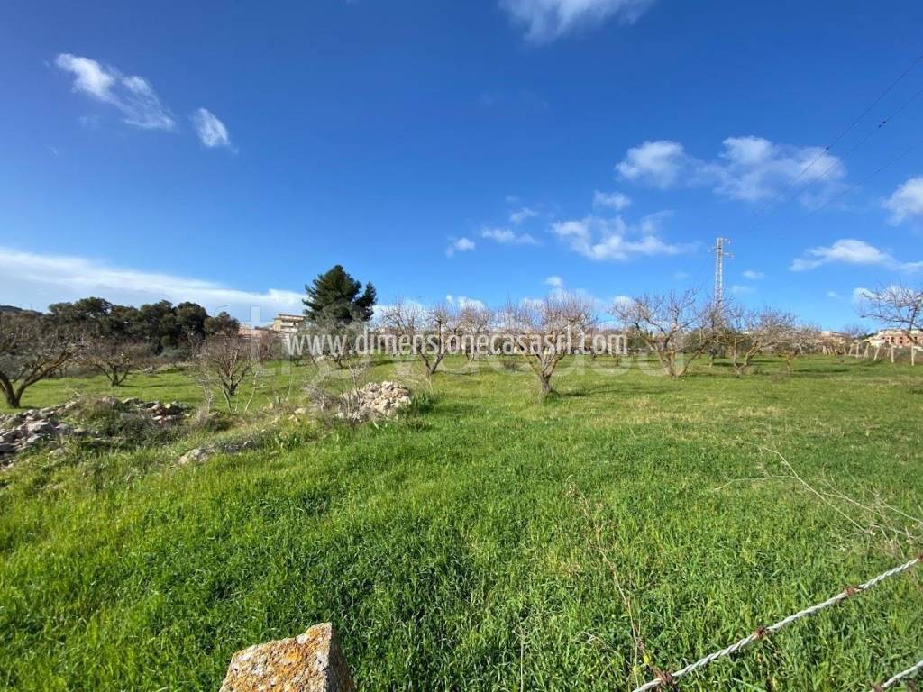 immagine annuncio 6 di 7