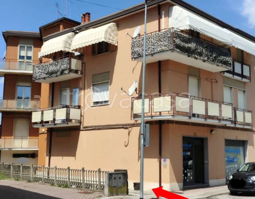immagine annuncio 10 di 11