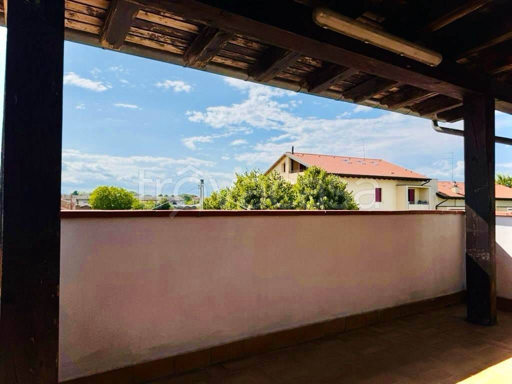 immagine annuncio 5 di 14
