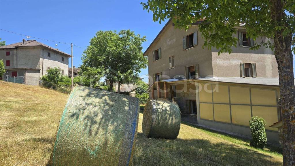 immagine annuncio 11 di 14