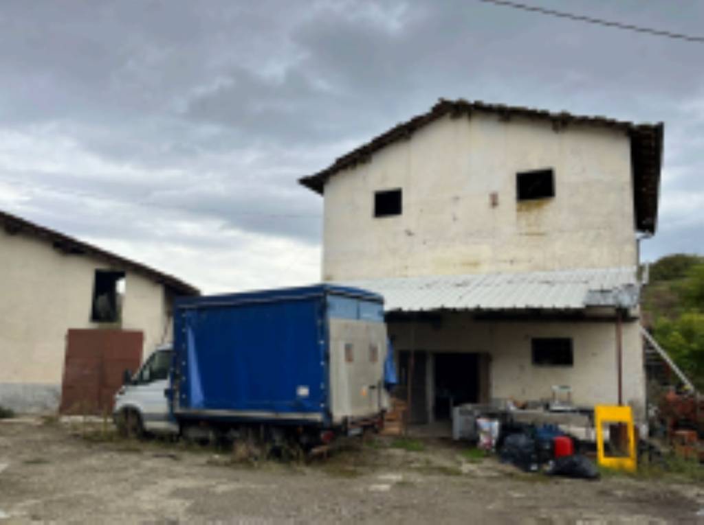 immagine annuncio 8 di 11