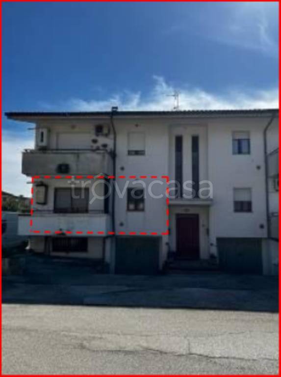 immagine annuncio 1 di 12