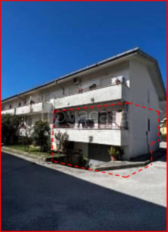 immagine annuncio 2 di 12