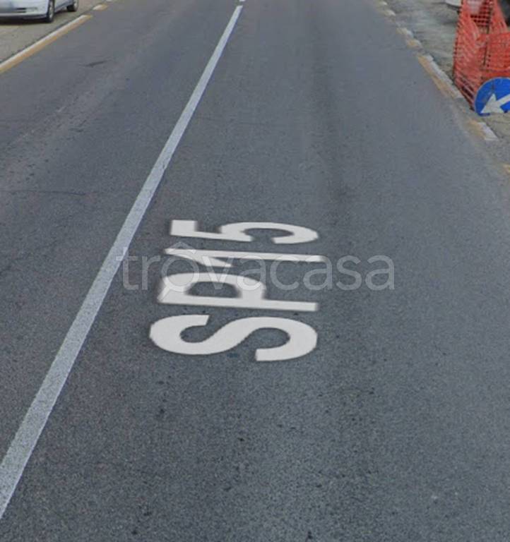 immagine annuncio 9 di 14