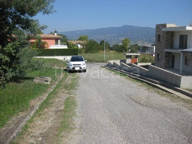 immagine annuncio 5 di 6