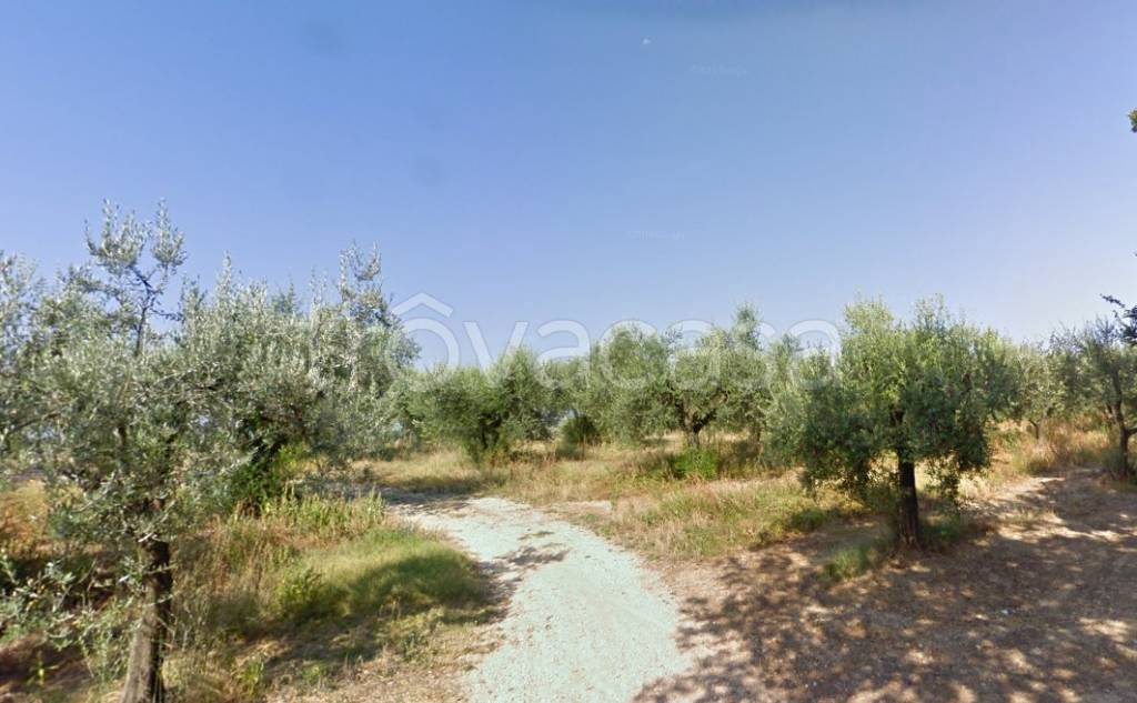 immagine annuncio 6 di 13