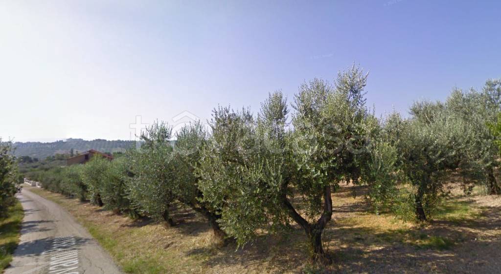 immagine annuncio 7 di 13