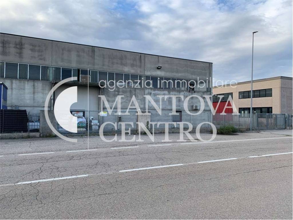 immagine annuncio 3 di 6