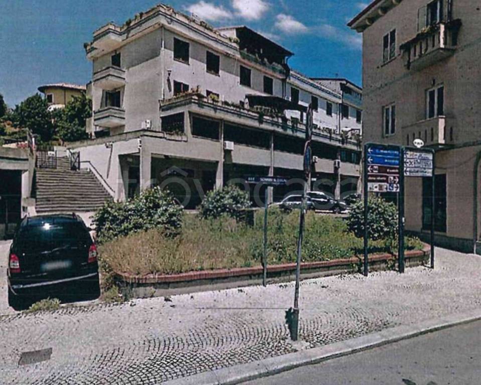 immagine annuncio 7 di 12